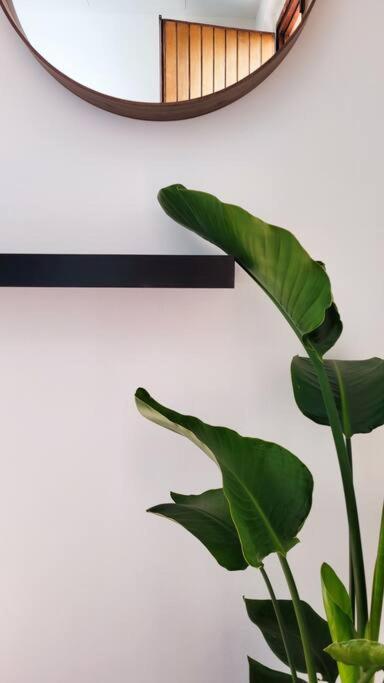 Apartamento Aretina Florencia